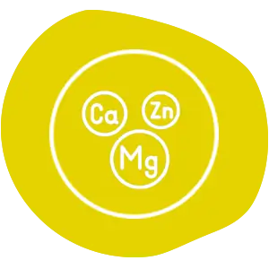 Rustles - Meal Replacement - Full with minerals - Icon - Yellow